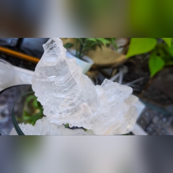 Rare Fishtail Selenite Crystal Slab - Picture 4 of 15